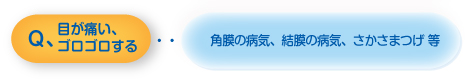 目が痛い、ゴロゴロする・・・・・・角膜の病気、結膜の病気、さかさまつげ 等