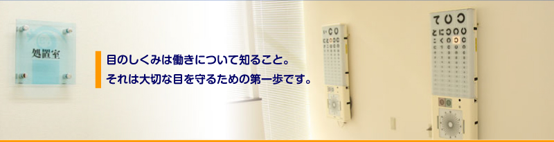 Q&A｜目のしくみは働きについて知ること。それは大切な目を守るための第一歩ではないでしょうか。