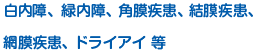 白内障、緑内障、角膜疾患、結膜疾患、網膜疾患、ドライアイ 等