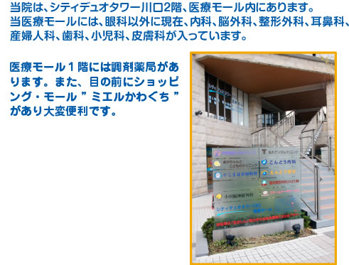 当院は、シティデュオタワー川口2階、医療モール内にあります。当医療モールには、眼科以外に現在、内科、脳外科、整形外科、耳鼻 科、産婦人科、歯科、小児科が入っています。